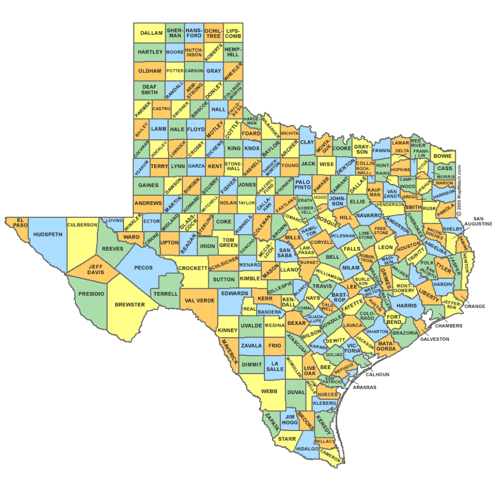 Texas State, County Map